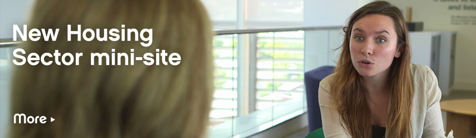 New Housing mini-site