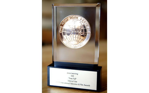World Gold Medal at the New York Festivals Television and Film Awards