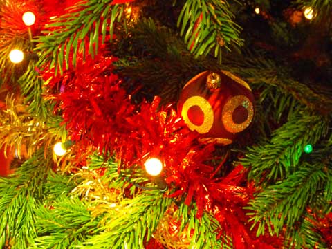 Health and Safety Alert Employees banned from putting up office Christmas decorations!